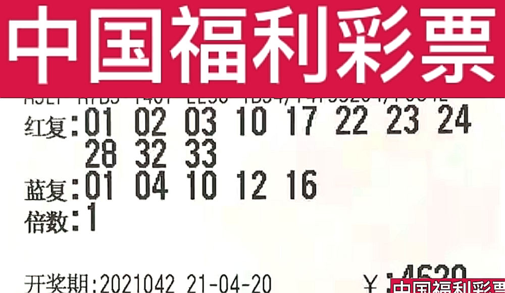 新奧門今晚開獎結(jié)果查詢第243期，全面解析與預測，新奧門第243期開獎結(jié)果解析與預測，今晚開獎揭秘