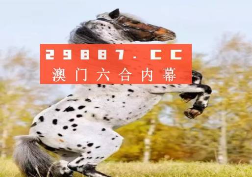 探索澳彩歷史開獎(jiǎng)結(jié)果，回顧與預(yù)測(cè)（2023年），回顧與預(yù)測(cè)，澳彩歷史開獎(jiǎng)結(jié)果探索（2023年）