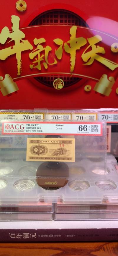 王中王一字一句拆一肖，深度解析背后的奧秘，王中王拆字揭秘，探尋背后奧秘揭曉生肖之謎