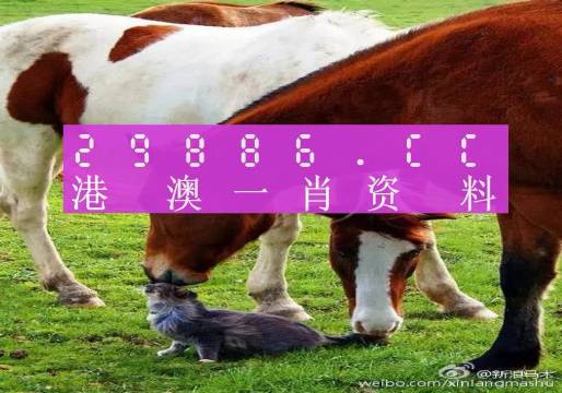 新奧門一肖一碼，揭秘精準(zhǔn)預(yù)測的秘密，揭秘新澳門一肖一碼精準(zhǔn)預(yù)測的秘密