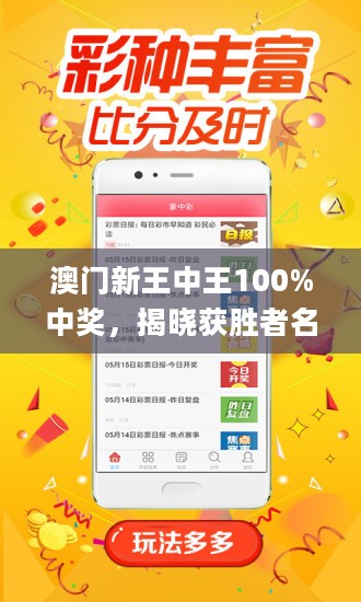 新澳門王中王游戲，揭秘期期中秘密，助你贏大獎！，揭秘新澳門王中王游戲期期中策略，贏大獎秘訣揭曉！
