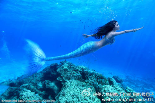 澳門美人魚最快開獎結果圖——揭秘熱門彩票游戲背后的秘密，澳門美人魚彩票開獎揭秘，最新結果圖與游戲背后秘密探索