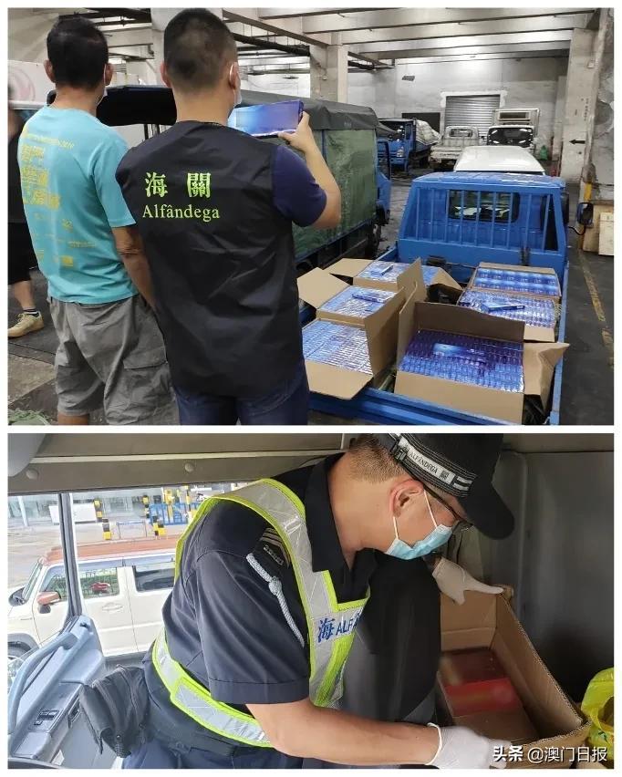 澳門今晚必開一肖080，揭秘生肖運勢與預測之謎，澳門今晚必開一肖揭秘，生肖運勢預測之謎開啟！