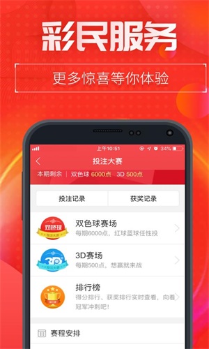 王中王資料特一肖中特，深度解析與探索，王中王資料特一肖中特深度解析與探索報(bào)告