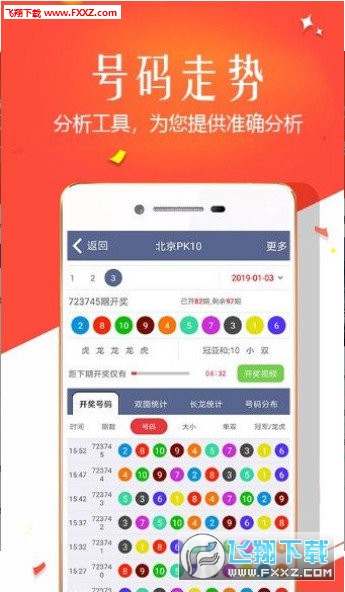 王中王四肖選一，揭秘選擇與優(yōu)化策略，王中王四肖選一，選擇與優(yōu)化策略的揭秘