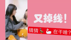 王中王欲錢(qián)詩(shī)猜一肖，王中王欲錢(qián)詩(shī)暗示的生肖之謎