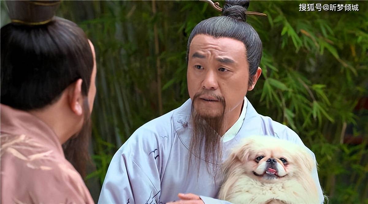 揭秘劉伯溫四不象一肖的神秘面紗——探尋背后的傳奇故事，揭秘劉伯溫四不象一肖背后的傳奇故事，神秘面紗下的神秘傳說