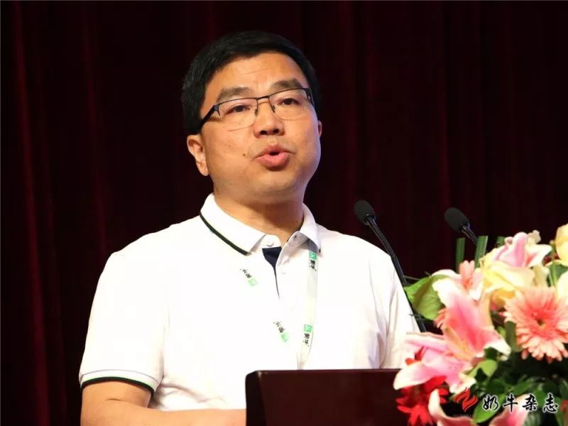 王中王一平特肖，揭秘第100期的秘密與策略，揭秘第100期秘密與策略，王中王一平特肖獨(dú)家解析