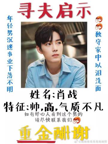 一肖一碼一一肖一子善，探尋命運(yùn)密碼與智慧之光的完美結(jié)合，命運(yùn)密碼與智慧之光，一肖一碼一一肖一子善的探尋
