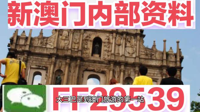 澳門今晚必開一肖一特，深度解析與預測，澳門今晚生肖特碼深度解析與預測，一肖一特必開趨勢探討