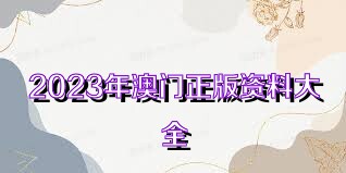 澳門資料大全正版資料查詢，探索澳門的文化與歷史深度之旅，澳門文化與歷史深度探索，正版資料大全及查詢指南