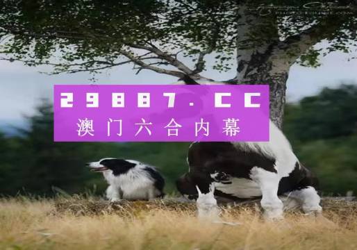澳門跑狗圖正版今晚，探索真實(shí)與虛幻的邊界，澳門跑狗圖正版今晚，真實(shí)與虛幻邊界的探索