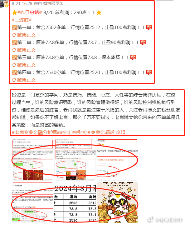 王中王香港一肖，揭秘背后的故事與SEO奧秘，王中王香港一肖背后的故事與SEO奧秘揭秘