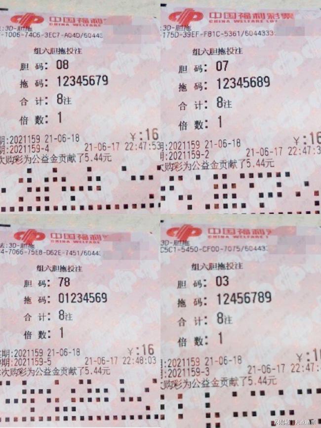 王中王四肖精選一肖新聞，揭秘背后的故事與趨勢，王中王四肖精選揭秘，背后的故事與趨勢聚焦一肖新聞