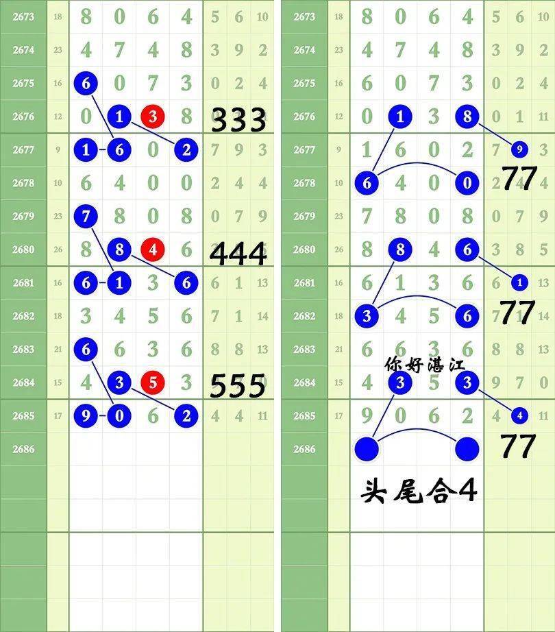 一肖三碼王中王絕密，揭秘背后的秘密與策略洞察，揭秘一肖三碼王中王絕密策略與背后秘密