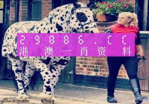王中王一肖一特一中香港，探索關(guān)鍵詞背后的故事，香港關(guān)鍵詞背后的故事探索，王中王一肖一特一中