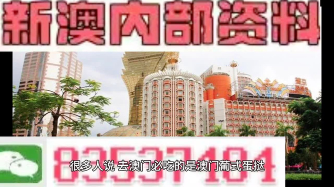 探索未來，2025年新澳門免費(fèi)資料概覽，探索未來，2025新澳門免費(fèi)資料概覽