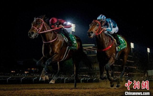 香港王中王一肖中特馬，探索背后的奧秘，香港王中王一肖中特馬背后的奧秘探索