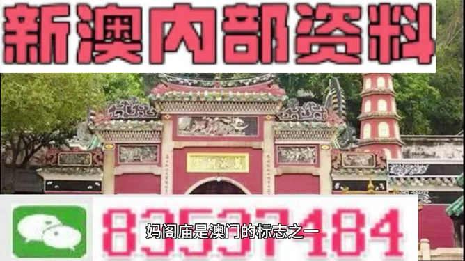 澳門三肖三碼精準預測，揭秘黃大仙的神秘面紗與背后的秘密故事，澳門三肖三碼精準預測揭秘，黃大仙的神秘面紗與背后故事探索
