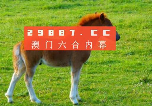 新奧門一肖一馬平特大全，揭秘?zé)衢T關(guān)鍵詞背后的故事，揭秘新澳門熱門關(guān)鍵詞背后的故事，一肖一馬平特大全