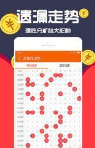 王中王一肖十，深度解析與SEO優(yōu)化策略，王中王一肖十深度解析與SEO優(yōu)化策略探討