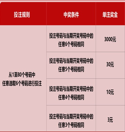 新澳門六開彩天天開獎結果，揭秘彩票背后的秘密，揭秘新澳門六開彩天天開獎背后的秘密