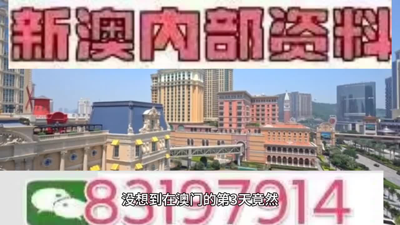 新澳門今晚必開一肖一特，探索生肖與特碼的魅力，澳門生肖特碼探索，今晚必開一肖一特之魅力