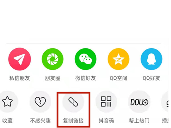 白小姐王中王中特一肖，神秘傳奇與SEO探索，神秘傳奇與SEO探索，白小姐王中王中特一肖的奧秘