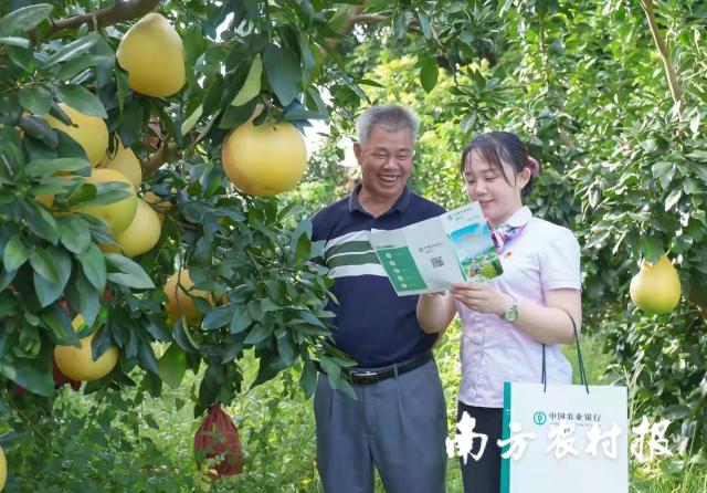 資料大全正版資料2025，一站式獲取所有你需要的信息，資料大全正版資料2025，一站式獲取所有信息總匯