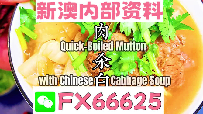 揭秘2025年管家婆必中一肖的秘密策略，揭秘未來管家婆必中生肖預(yù)測策略，2025年生肖秘密策略大解密
