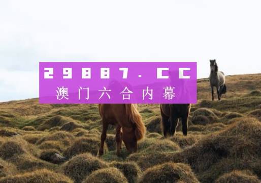 探索熱門圖庫資源與精準預測，澳門今晚必中一肖一碼，熱門圖庫資源探索與精準預測，澳門今晚必中一肖一碼揭秘