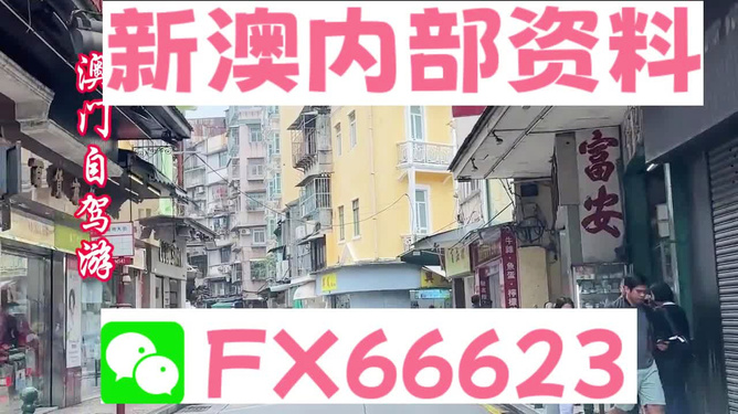港澳免費(fèi)精準(zhǔn)資料大全——探索與發(fā)現(xiàn)，港澳免費(fèi)精準(zhǔn)資料大全，深度探索與發(fā)現(xiàn)之旅