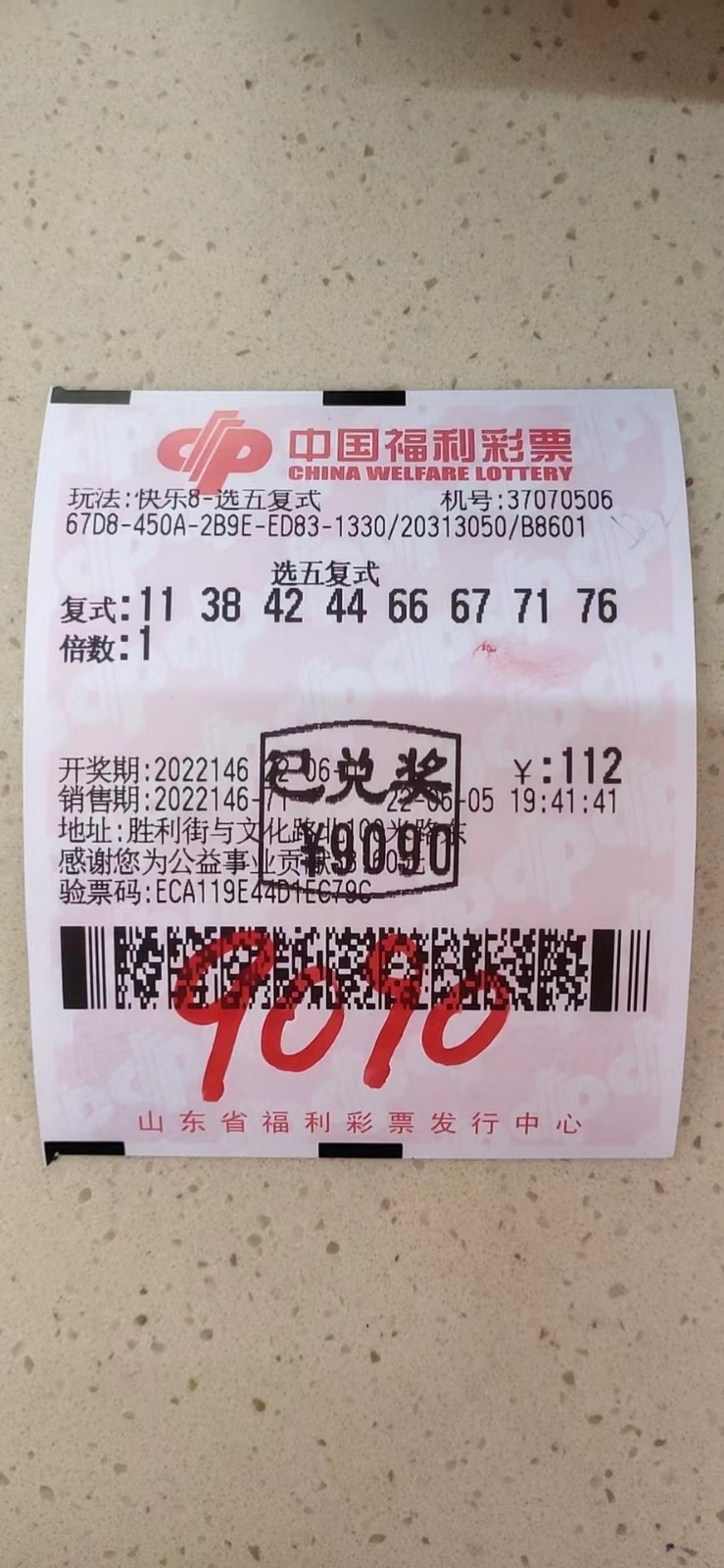 揭秘002期王中王平特一肖，背后的故事與奧秘，揭秘王中王平特一肖背后的故事與奧秘（第002期）