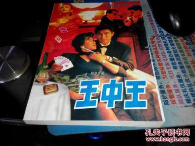 王中王資料一肖中特小說，深度解析與探索，王中王資料一肖中特小說的深度解析與探索之旅