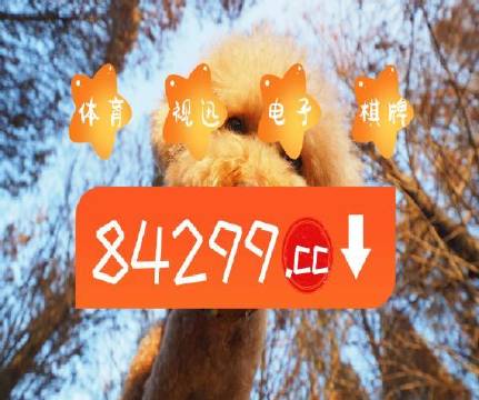 澳門天天開彩好正版掛牌第168期，探索彩票的魅力與策略，澳門彩票探索，魅力與策略揭秘 第168期正版掛牌開彩體驗