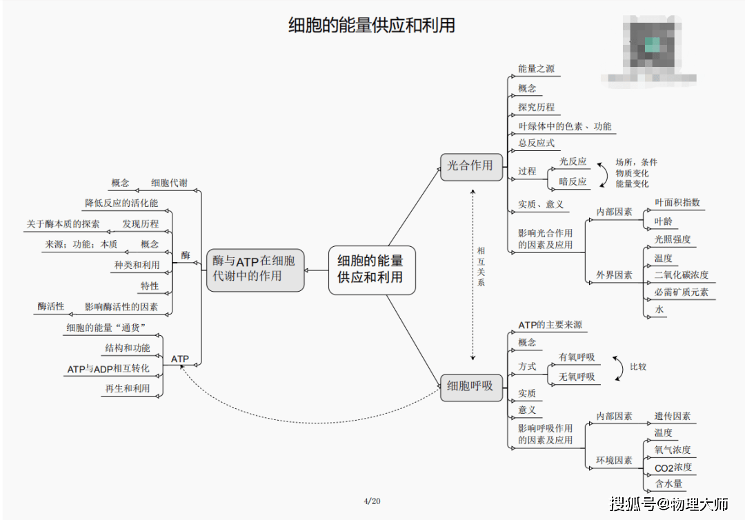 澳門管家婆三期必開一特，揭秘背后的秘密與策略，澳門管家婆三期必開一特揭秘，背后的秘密與策略全解析