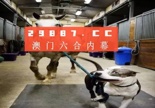 澳門一肖一碼一必中一肖，同舟前進的奧秘與策略，澳門一肖一碼必中策略與前進奧秘，同舟共濟的揭秘與策略