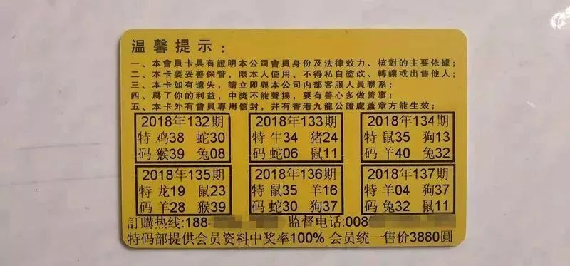 香港中特期期準(zhǔn)資料，深度解析與探索，香港中特期期準(zhǔn)資料深度解析與探索報(bào)告