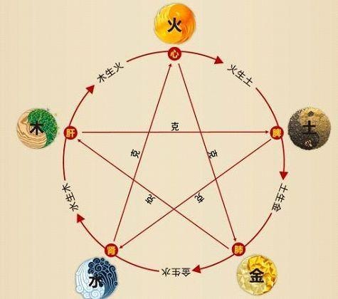 鐵算算盤4887最準資料，揭秘其背后的秘密與優(yōu)勢，揭秘鐵算算盤4887，最準資料背后的秘密與優(yōu)勢