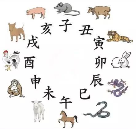 澳門天天彩期期精準十二生肖預測——揭秘彩票秘密，澳門天天彩期期精準十二生肖預測，揭秘彩票秘密之獨家解析