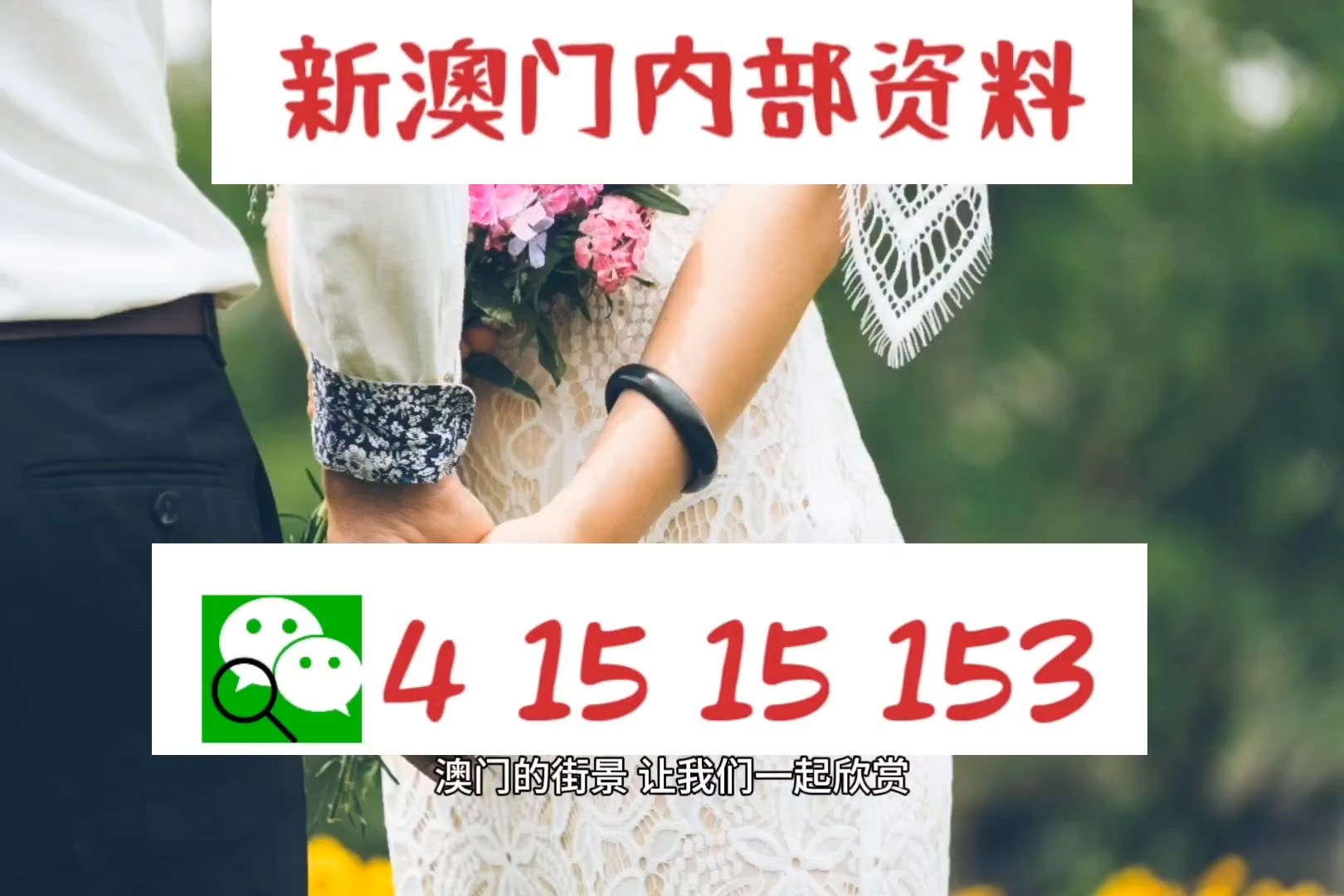 澳門特碼的開獎(jiǎng)記錄，歷史數(shù)據(jù)與趨勢分析，澳門特碼開獎(jiǎng)記錄、歷史數(shù)據(jù)與趨勢分析概覽