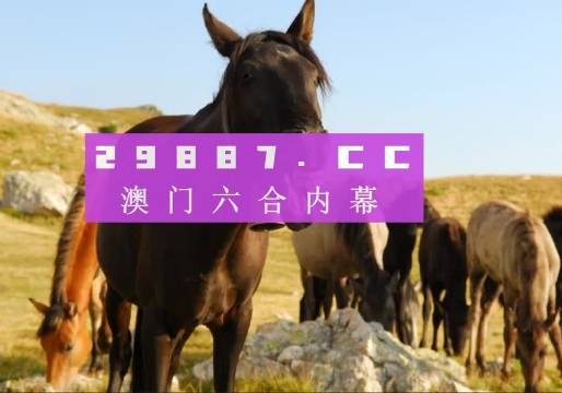 香港生肖精準(zhǔn)管家婆之7777888888精準(zhǔn)分析，香港生肖精準(zhǔn)管家婆之精準(zhǔn)分析，7777與8888的奧秘