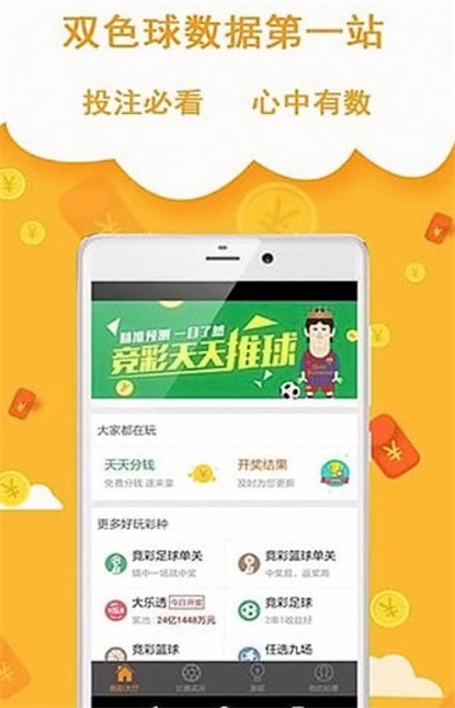 王中王493333中特網(wǎng)，探索與解析，王中王493333中特網(wǎng)，深度探索與解析