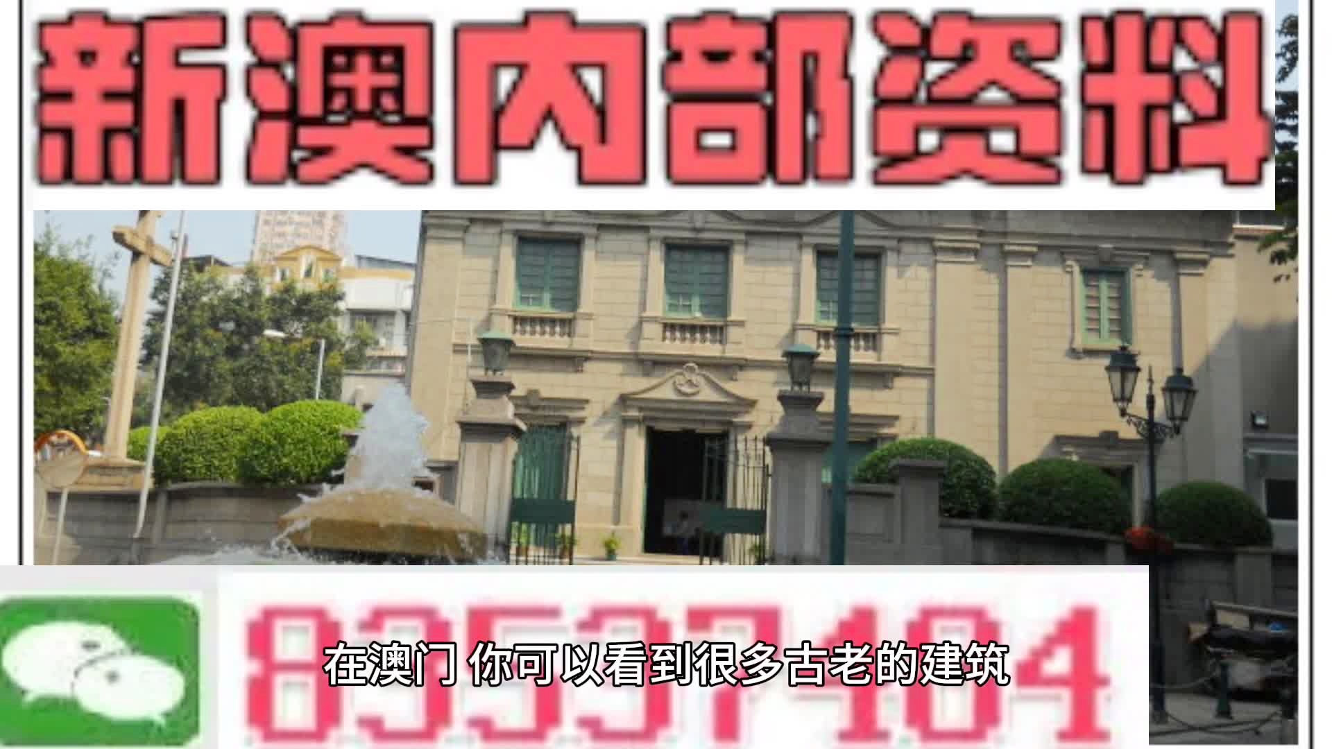 新門內部資料大全更新，掌握最新資源，引領行業(yè)前沿，新門內部資料更新引領行業(yè)前沿掌握最新資源大全