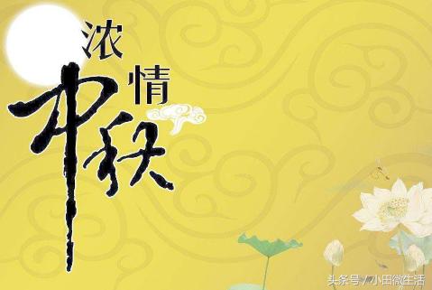 天天開(kāi)好彩免費(fèi)資料大全——你不可錯(cuò)過(guò)的幸運(yùn)之門(mén)，天天開(kāi)好彩免費(fèi)資料大全——開(kāi)啟幸運(yùn)之門(mén)的必備指南