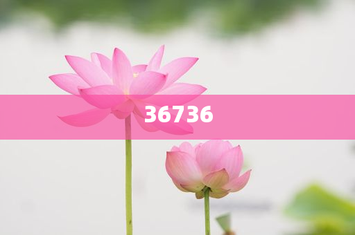 揭秘精準新傳秘籍，7777788888免費策略與SEO優(yōu)化，揭秘精準新傳秘籍，免費策略與SEO優(yōu)化指南