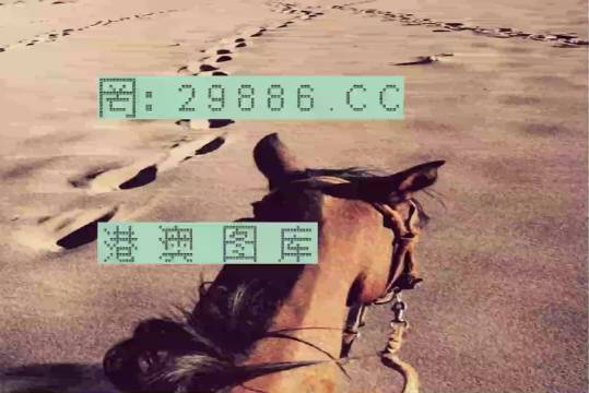香港特馬資料王中王，揭秘背后的秘密，揭秘香港特馬資料王中王的背后秘密