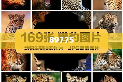關(guān)于新奧歷史開獎記錄的最新信息，今天公布了嗎？，新奧歷史開獎記錄最新信息公布了嗎？