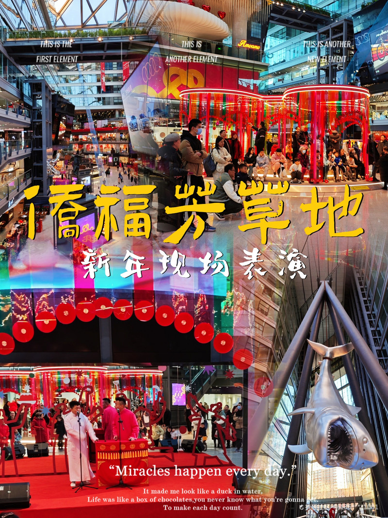 最新揭秘，2024新澳芳草地全方位資料詳解，揭秘2024新澳芳草地全方位資料，最新詳解
