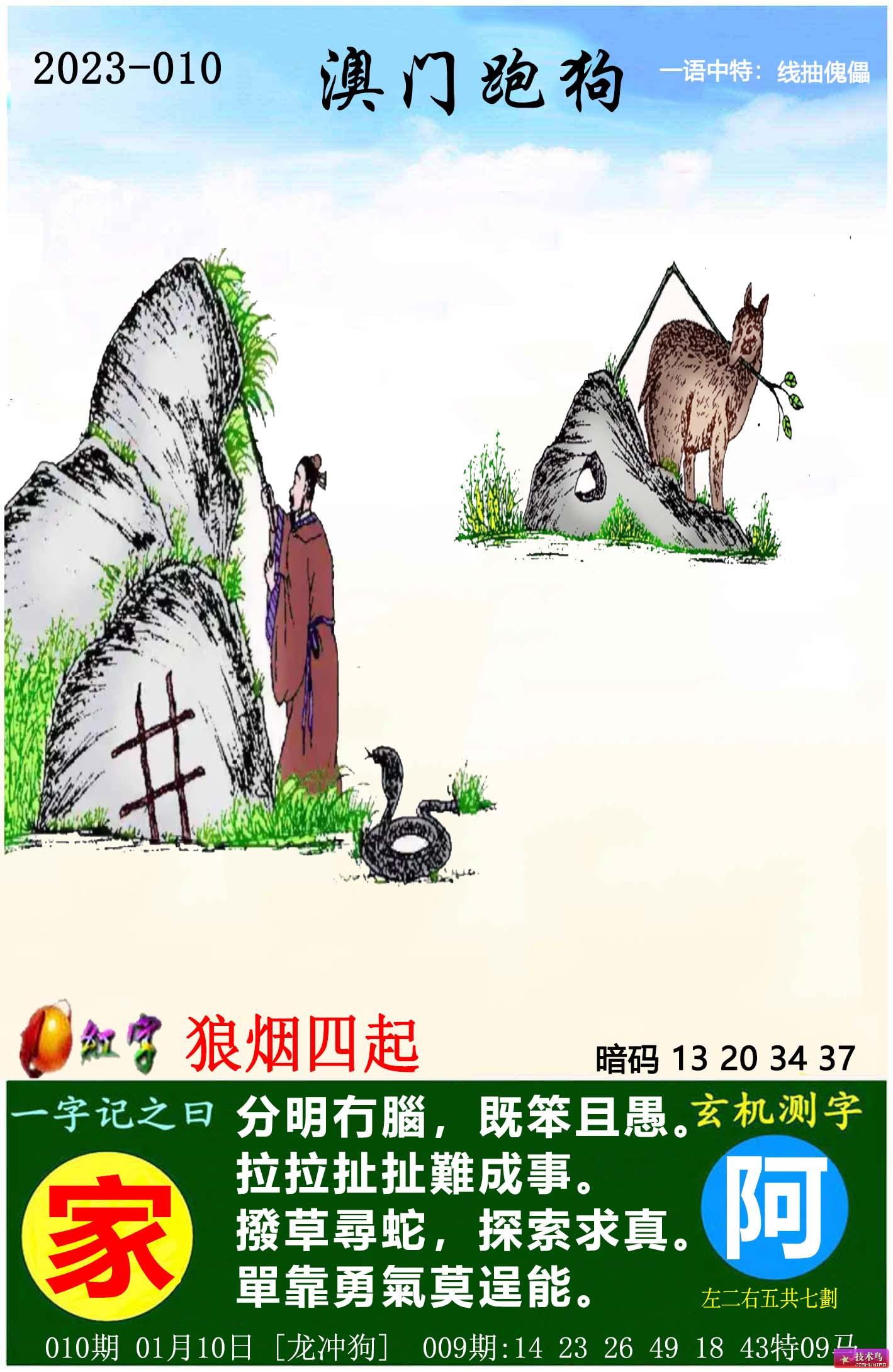 最新更新內(nèi)容，探索7777788888跑狗圖的奧秘，揭秘跑狗圖奧秘，最新更新探索7777788888的神秘面紗